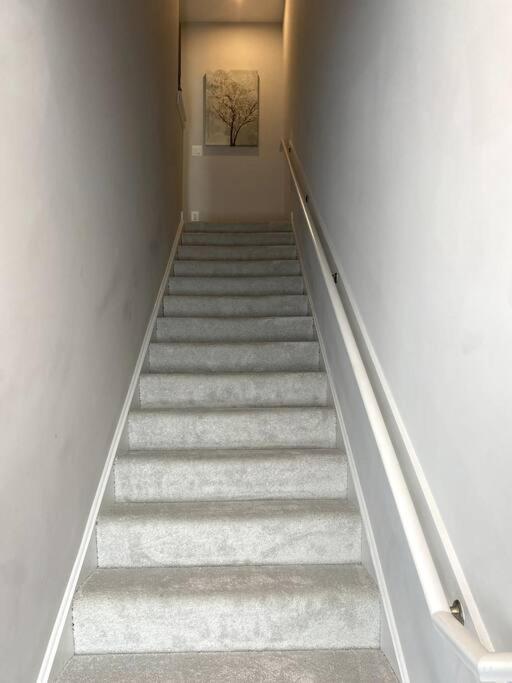 Spacious 3Bedroom Duplex With Rooftop Deck! 워싱턴 외부 사진
